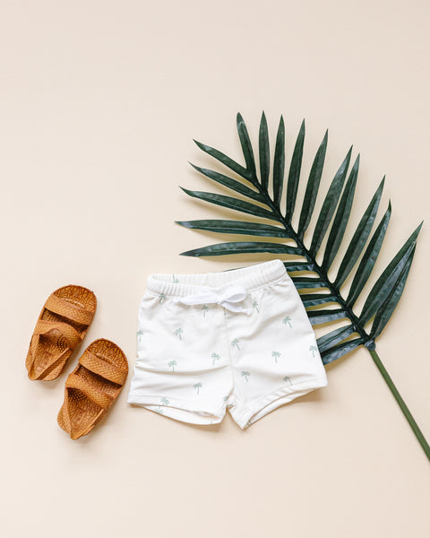 Boy's Euro Shorts | Palm Trees